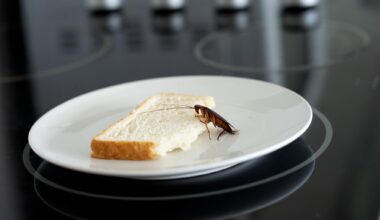 La technique de cette Sud-Coréenne pour tuer un cafard au lance-flammes a tourné au drame