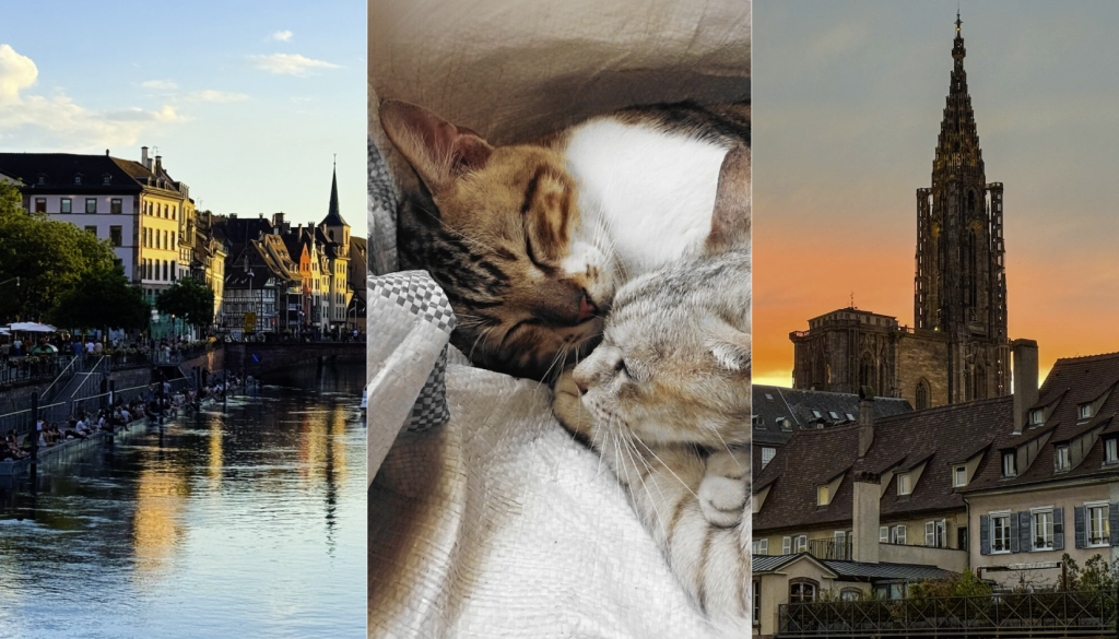 En forme ce matin ? C’est normal, on a gagné 1h de sommeil à Strasbourg !