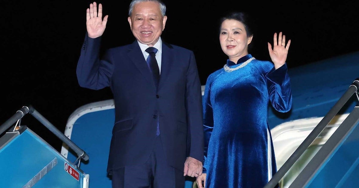 Des choses mystérieuses et intéressantes découvertes lors de l'exploration du gouffre le plus profond du Vietnam