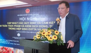 Vietnam.vn - Nền tảng quảng bá Việt Nam