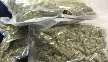 Moselle. Intercepté à Phalsbourg avec 55 kilos de cannabis dans la voiture alors qu’il roulait vers Strasbourg