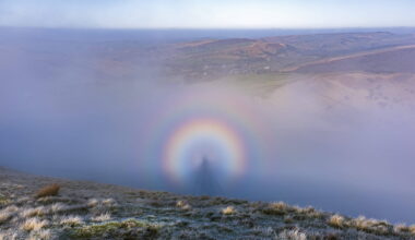A travers la brume, un photographe voit apparaître une mystérieuse silhouette