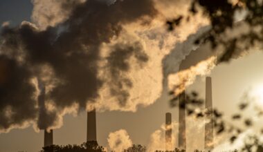 Canicules, sécheresses, inondations… Le Royaume-Uni doit se préparer à des "phénomènes extrêmes" d'ici 2050