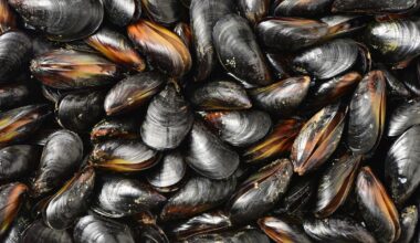 des cargaisons de moules britanniques refoulées par les douanes françaises