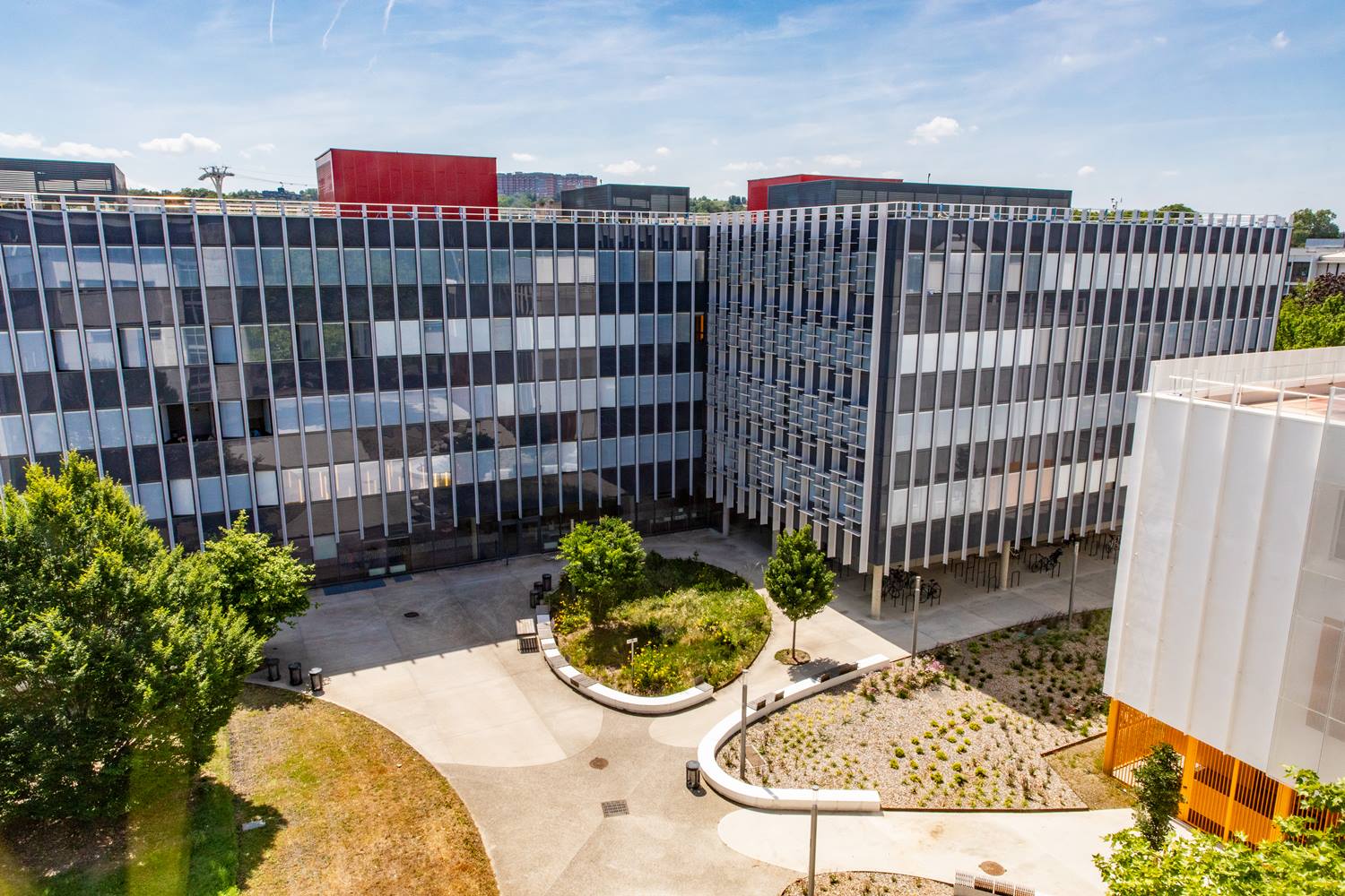 interview Odile Rauzy université de Toulouse