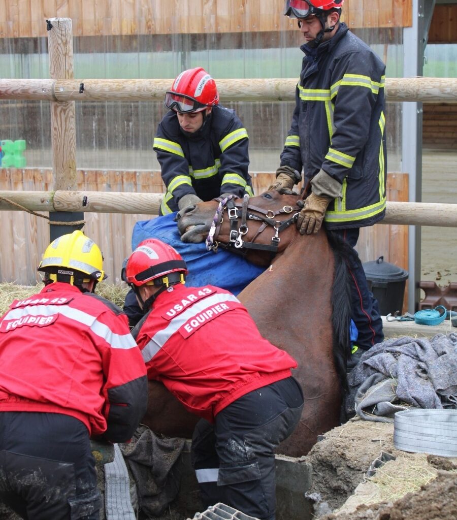 Saint-Just-Malmont : un cheval tombé dans un regard secouru et sauvé
