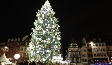 voici quand vous pourrez admirer le grand sapin de la place Kléber