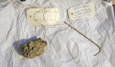 le parcours muséographique du futur musée Despiau-Wlérick se dessine
