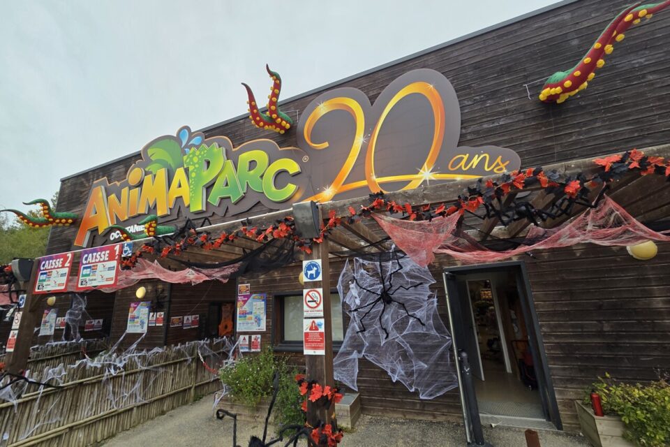 Animaparc passe en mode citrouille !