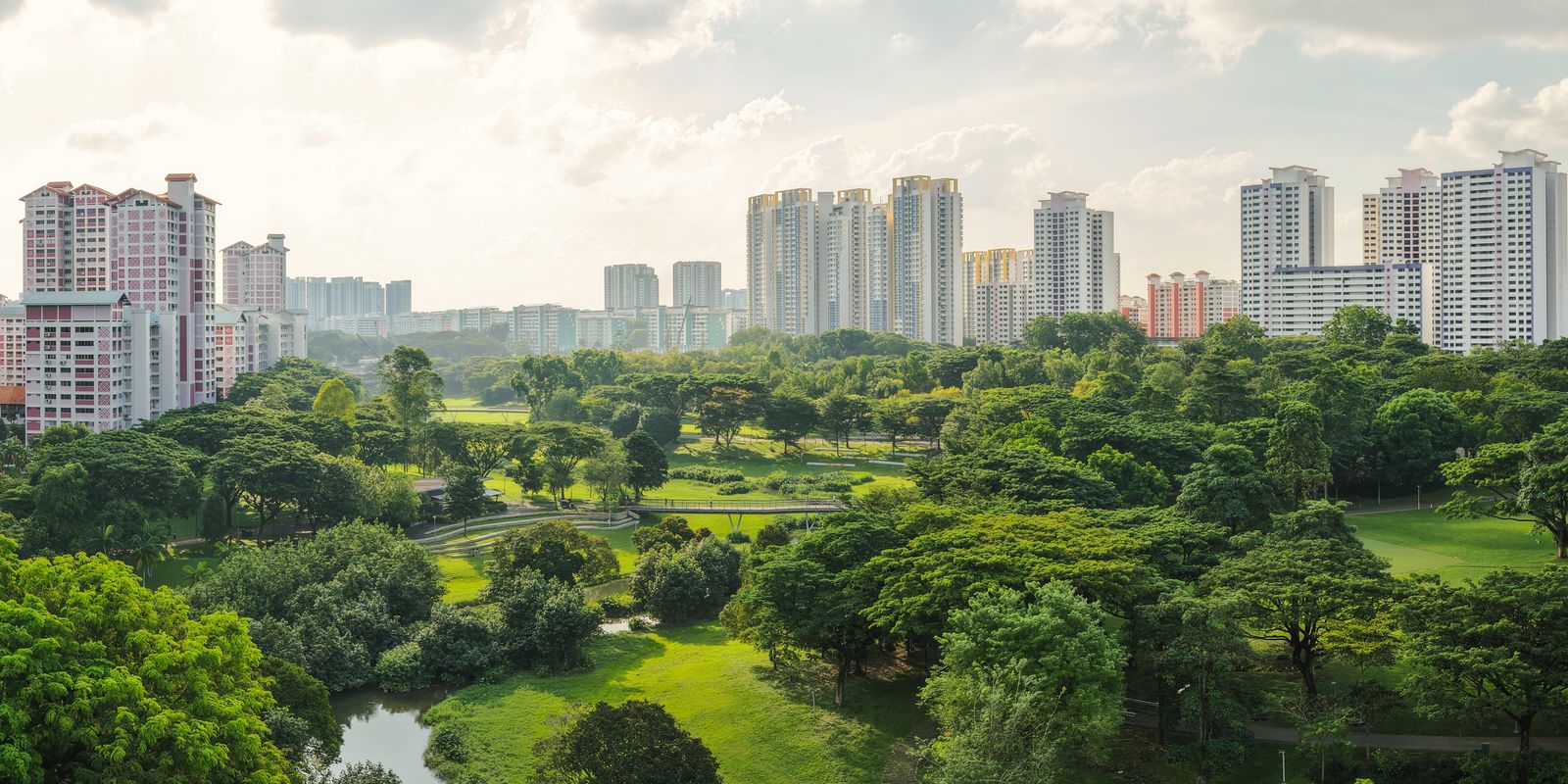 Singapour une villes plus vertes en couleur et nergie du monde auparavant supprim 93 couverture arbore actuellement...