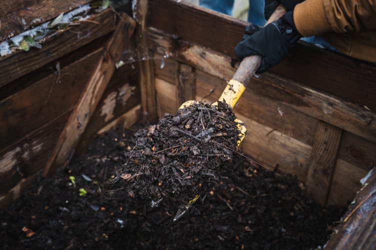 Nature en ville Maison du compost
