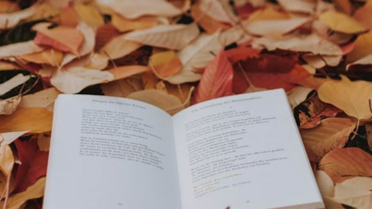 Freida McFadden : 3 livres de l’auteure de La femme de ménage à dévorer pendant les vacances d’automne