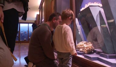 cabinet de curiosité devenu institution de référence, le Muséum de Grenoble fête ses 250 ans