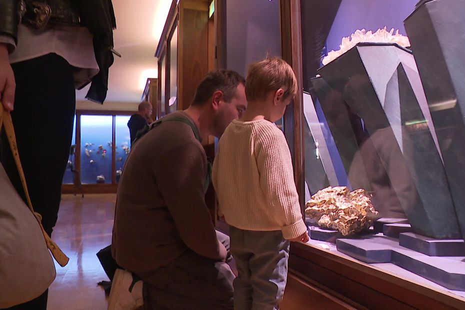 cabinet de curiosité devenu institution de référence, le Muséum de Grenoble fête ses 250 ans