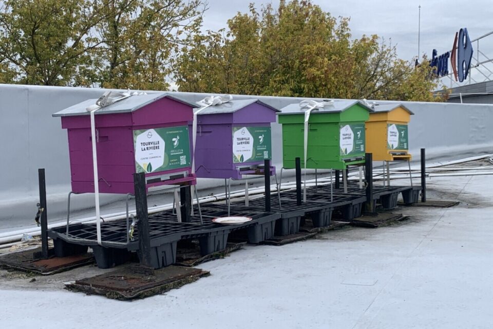 Quatre ruches ont été installées sur le toit du centre commercial de Tourville-la-Rivière.
