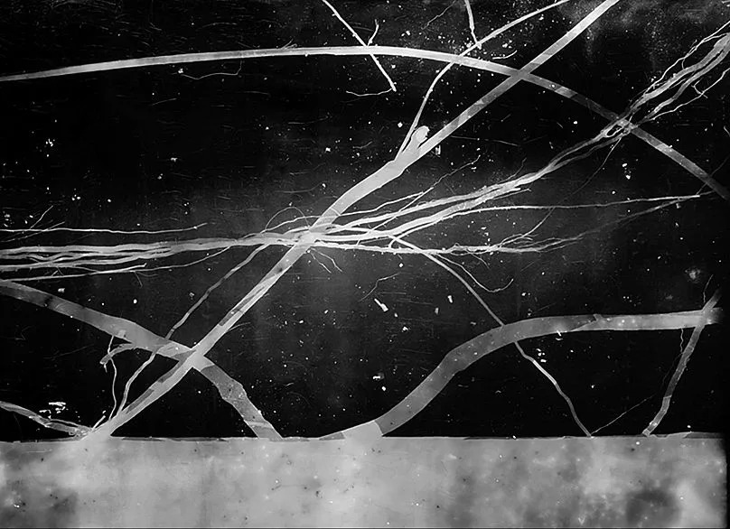 Amazograma n°1 (Détail) 2014 de la série Amazogramas