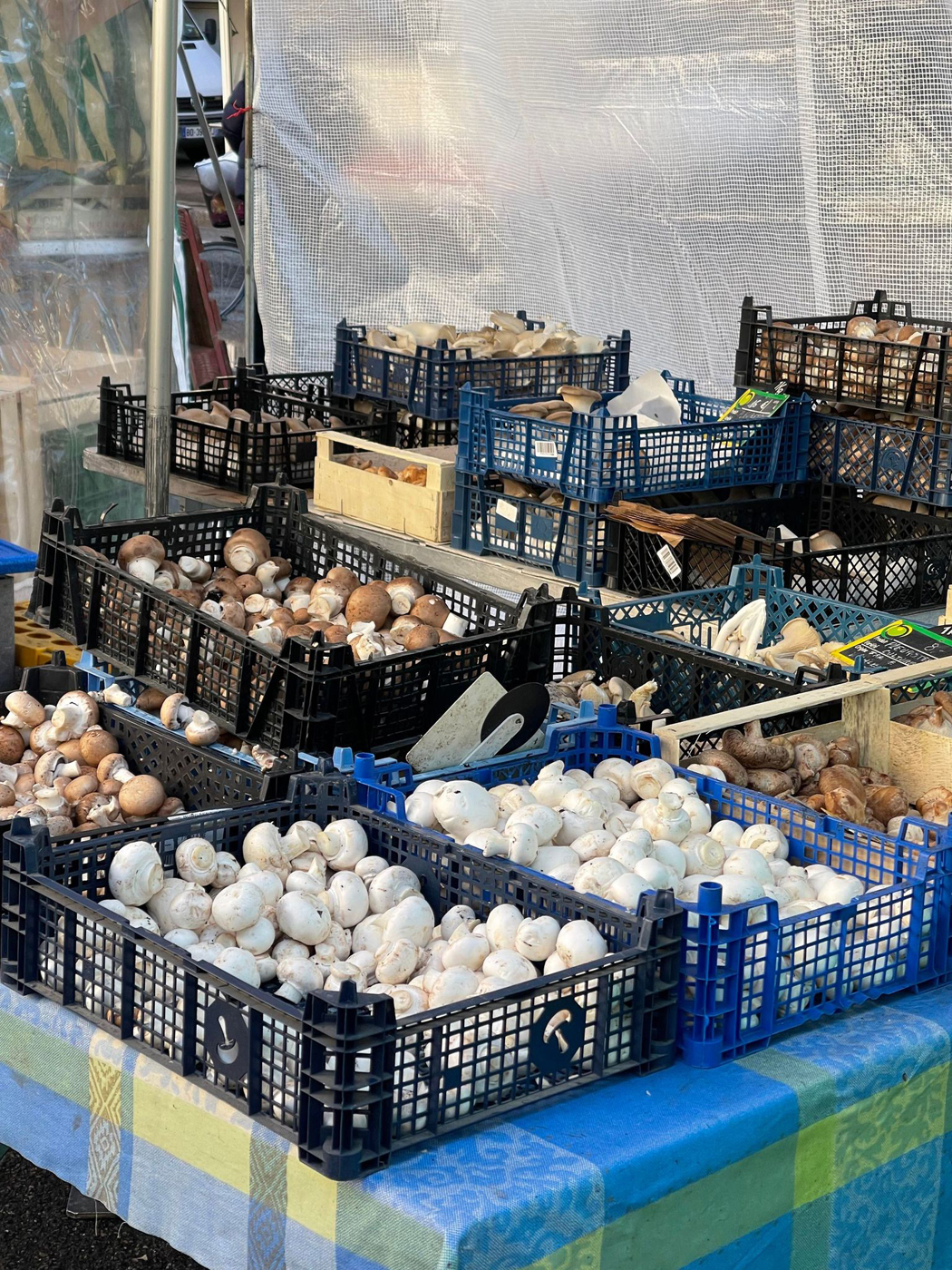 marché de la marne champignons