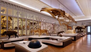 Une soirée jeux de société pas comme les autres au Muséum de Bordeaux