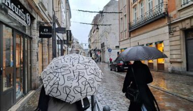 face aux vents violents, la Ville prend des mesures