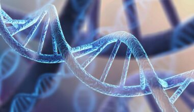 Sur notre ADN, des «cicatrices» qui sont autant de cibles pour mieux lutter contre le cancer