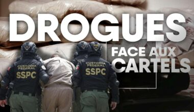 "L'Europe devient une cible pour les cartels d'Amérique latine" - rts.ch