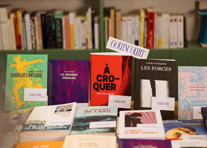 Outre Fatima Daas, Laura Vasquez et Wendy Delorme, le prix entend donner de la visibilité à des autrices moins médiatisées. Ici, dans une librairie parisienne.
