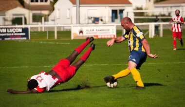 une photographe de Vendée fait un buzz mondial grâce à une photo insolite