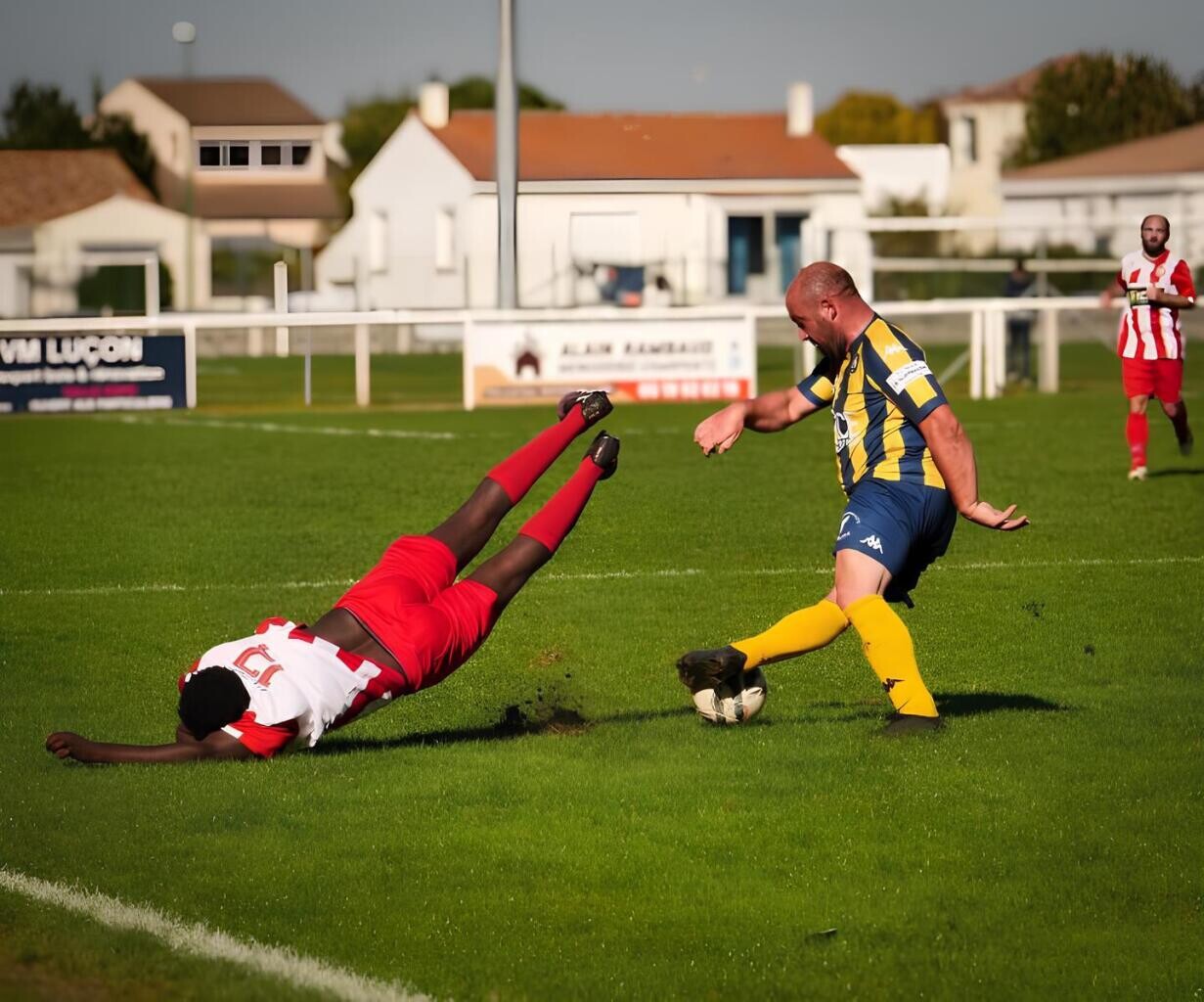une photographe de Vendée fait un buzz mondial grâce à une photo insolite