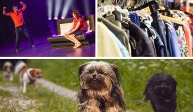 Humour, bons plans, animaux, sorcières… Que faire ce week-end des 11 et 12 octobre à Lille ?