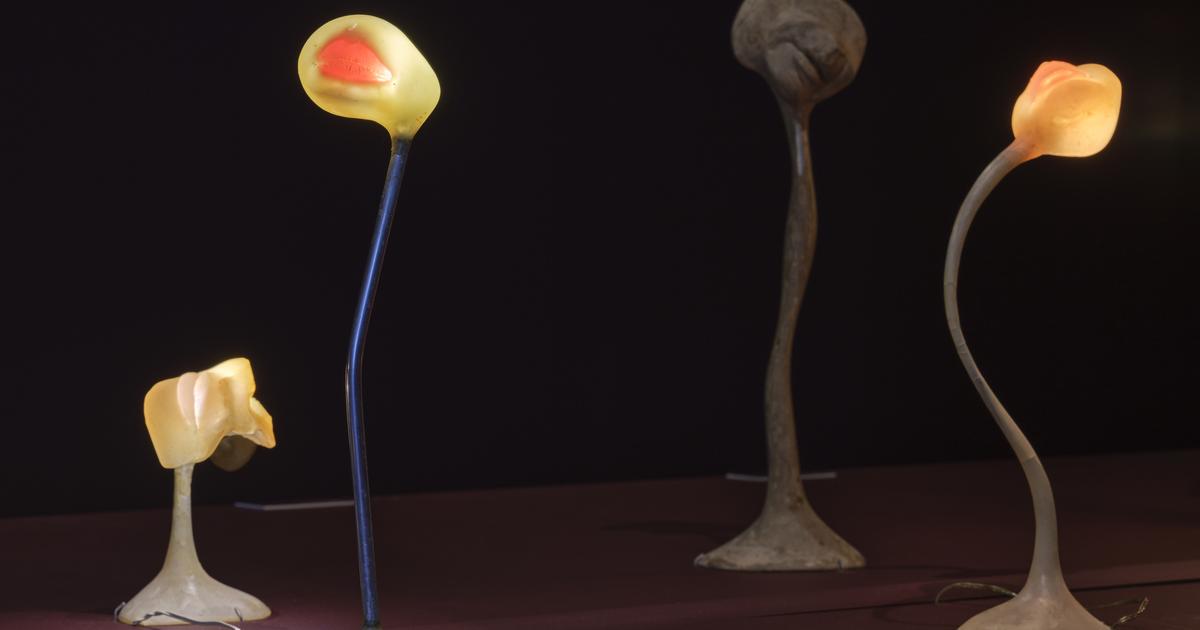 Alina Szapocznikow, la sculpture faite chair