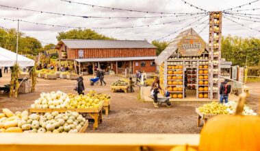 Le plus grand festival de citrouilles du Royaume-Uni se trouve à seulement une heure de Londres. Il propose un million de citrouilles à cueillir et de superbes photos d’automne.