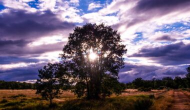 le sursaut des villages oubliés