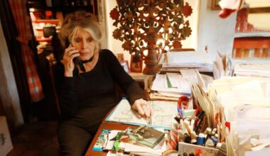 État préoccupant, « intervention dans le cadre d'une maladie grave » : Brigitte Bardot hospitalisée à Toulon - Nice-Matin