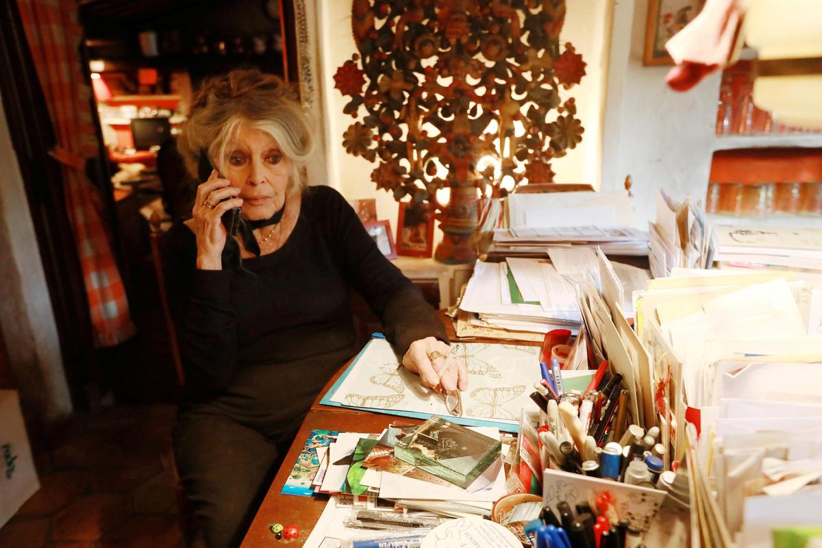 État préoccupant, « intervention dans le cadre d'une maladie grave » : Brigitte Bardot hospitalisée à Toulon - Nice-Matin