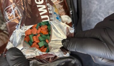 terminus prison pour le voyageur qui renfermait bien plus que du café dans ses bagages