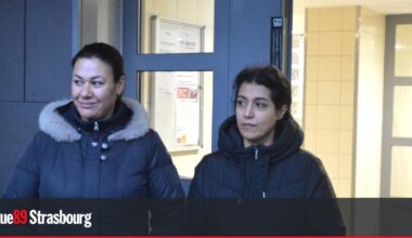 Les succès d'une mobilisation contre l'insalubrité de deux tours à Lingolsheim