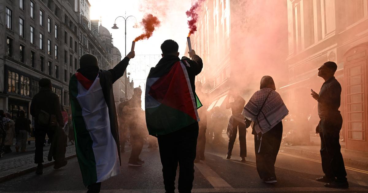 20 blessés dans des affrontements lors d'une manifestation propalestinienne