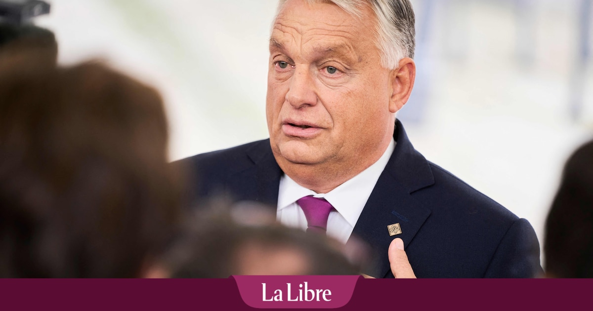 Pour maintenir le blocage de l'adhésion de l'Ukraine à l'Union européenne, Viktor Orbán pourrait trouver du soutien chez de nouveaux alliés