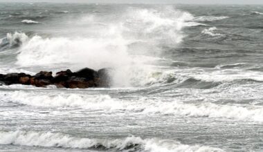 Un passager tombe à l'eau au large d'Honfleur