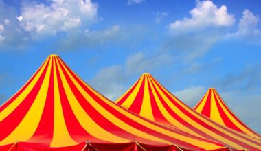 la mairie obtient l’expulsion d’un cirque installé dans le sud de la ville