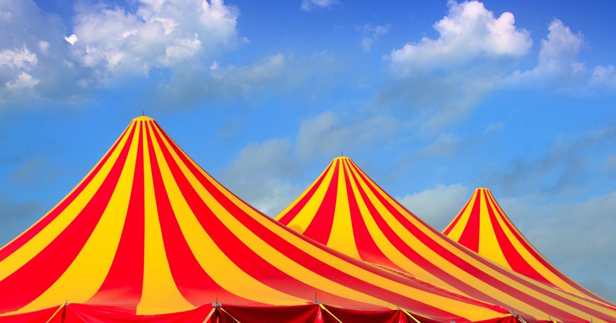 la mairie obtient l’expulsion d’un cirque installé dans le sud de la ville