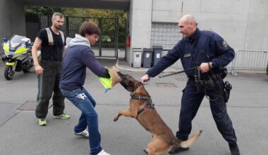 Lille. Club de tir, PJ, chiens... Mathéïs, 17 ans, sélectionné pour découvrir les coulisses du commissariat