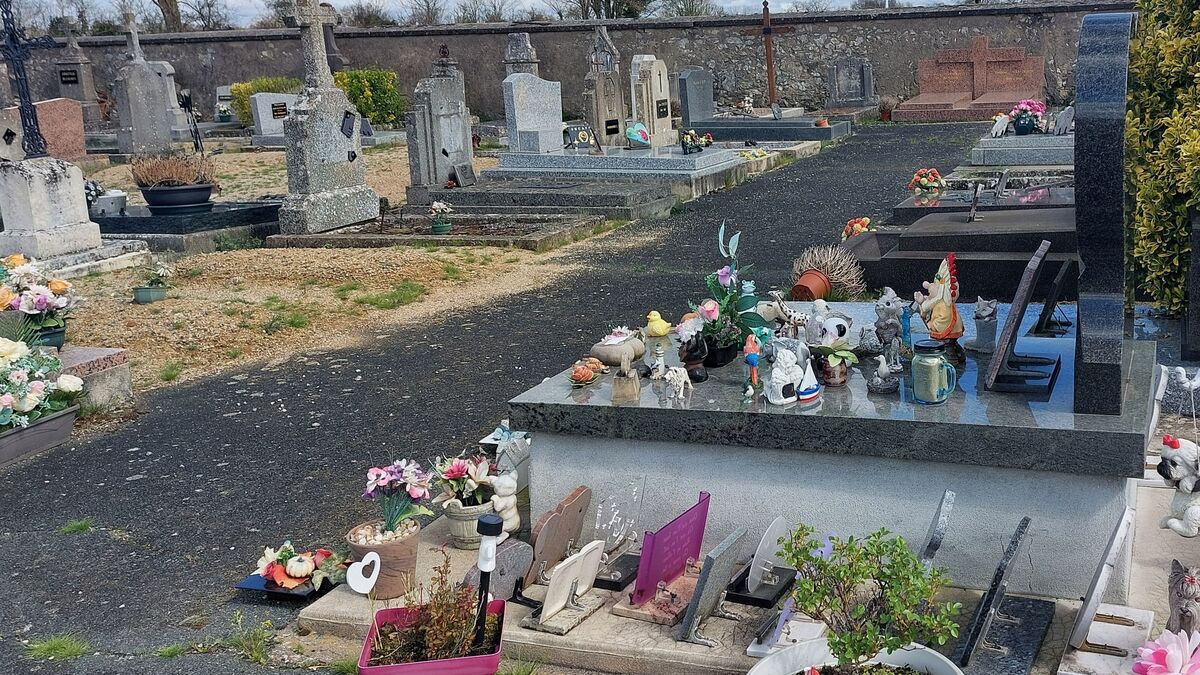 « C’est très intrigant » : des ossements humains dissimulés retrouvés dans une tombe près de Toulouse