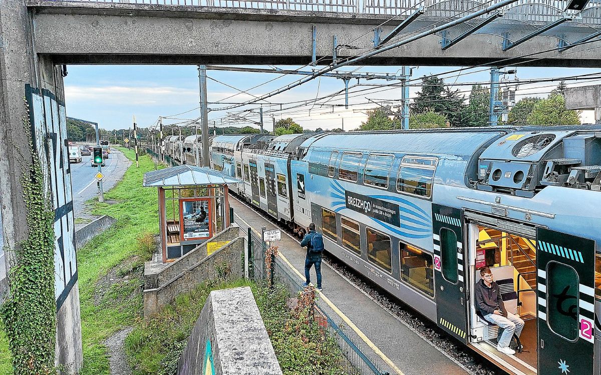 Pourtant bien desservie, pourquoi cette gare reste quasiment déserte autour de Rennes