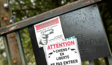 « J’ai cru que j’allais mourir » : à Rennes, le procès du « zoo de l’enfer » oppose gardiens et fans d’urbex