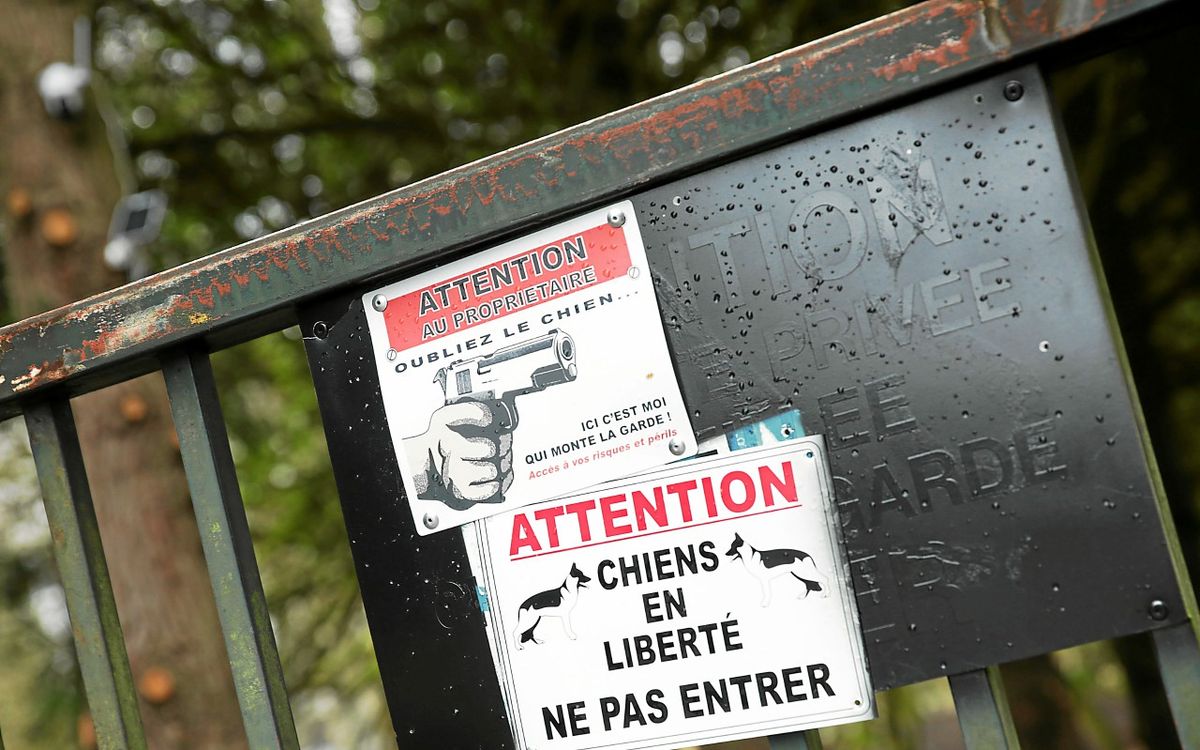 « J’ai cru que j’allais mourir » : à Rennes, le procès du « zoo de l’enfer » oppose gardiens et fans d’urbex