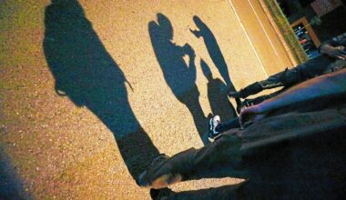 Ils volent une voiture avant de finir dans le décor : deux adolescents interpellés à Rennes