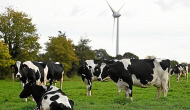 Plus d’énergies renouvelables, moins d’émissions de gaz à effet de serre… La Bretagne sur la bonne voie mais à un rythme trop lent