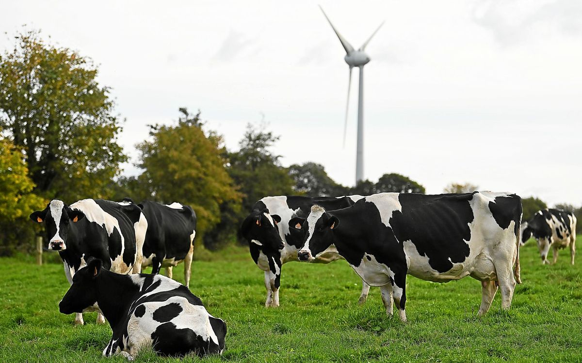 Plus d’énergies renouvelables, moins d’émissions de gaz à effet de serre… La Bretagne sur la bonne voie mais à un rythme trop lent