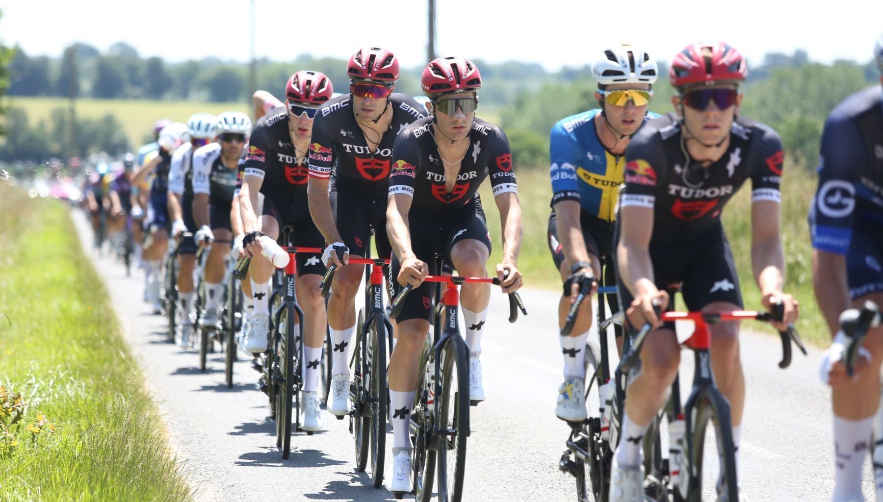 Tudor Pro Cycling : L’effectif 2026 - Actualité